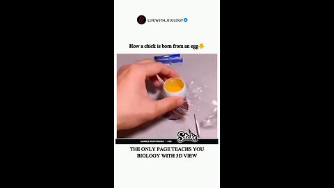 How a chicken born from an egg