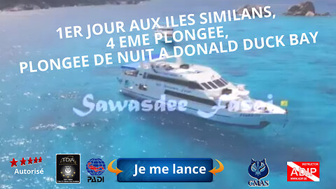 1er jour aux iles Similans, 4 éme plongée, Plongée de nuit a Donald Duck Bay