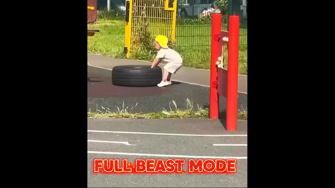 Mini Tire Lifter