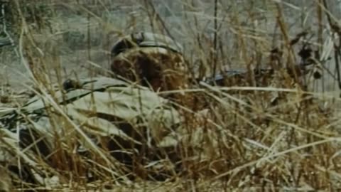 The Rhodesian Bush War