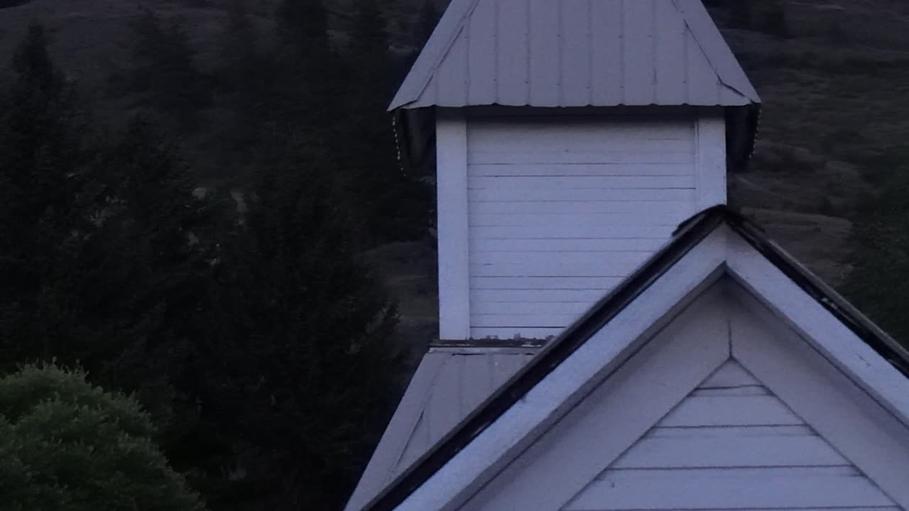 Bats in the Belltower, Curlew, WA
