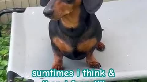 Hitting 40 is Like..........🥰🤣