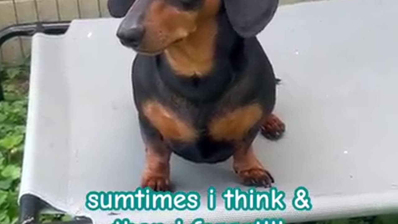 Hitting 40 is Like..........🥰🤣