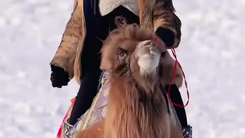 actress Riding Camel
