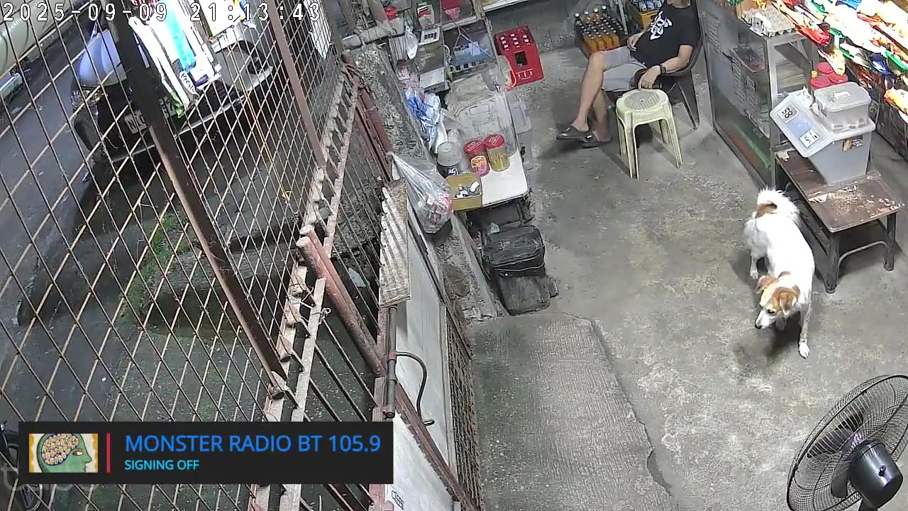 Mitsubishi Xpander 2019 Live