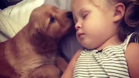 funny animals
