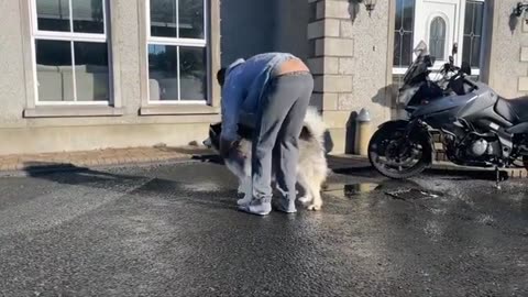 They Are Finally Reunited And They Are So Happy To See Him