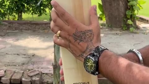 Heega Stallion Massive Edges, Perfect Balance, Unmatched Power Cricket Bat.