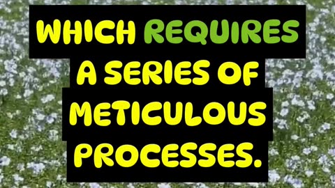 The Ancient Art of Linen Making 🌿🧵 | From Flax to Fabric!