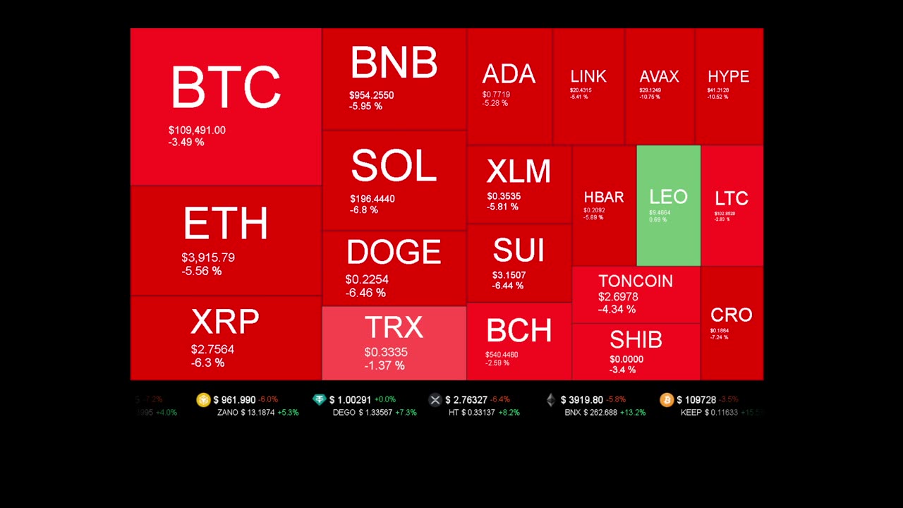 Live Coin Price Watch!