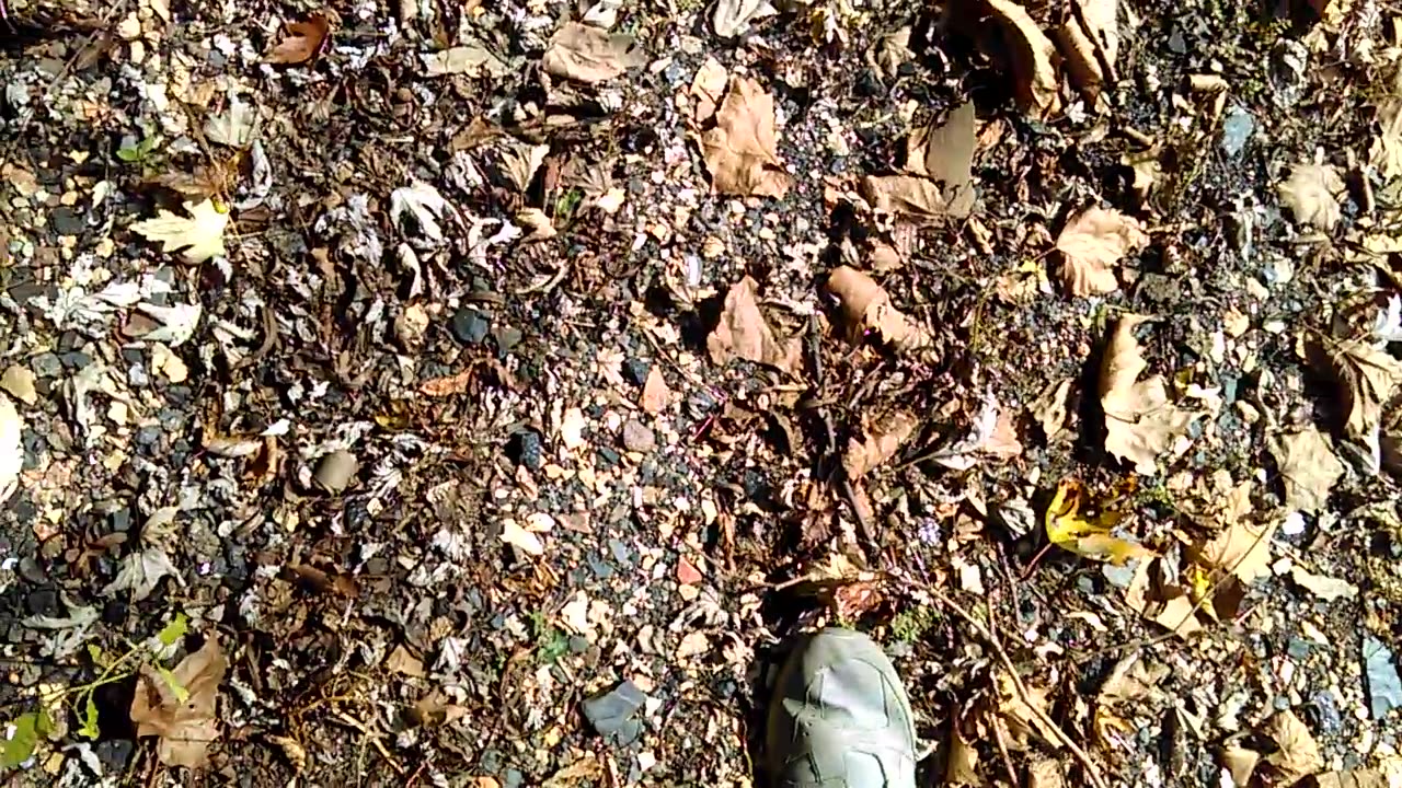 Walk Along the River in Sneakers - Date: 10/17/2016