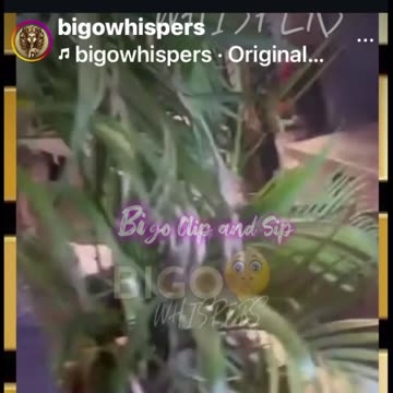 Bigo Whispers posts MadamLo pulling herself together after fighting God Zeus 4/9/25 #bigoclipandsip