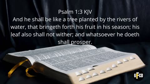 Copy of WOW - Fruit of the Spirit Part 2