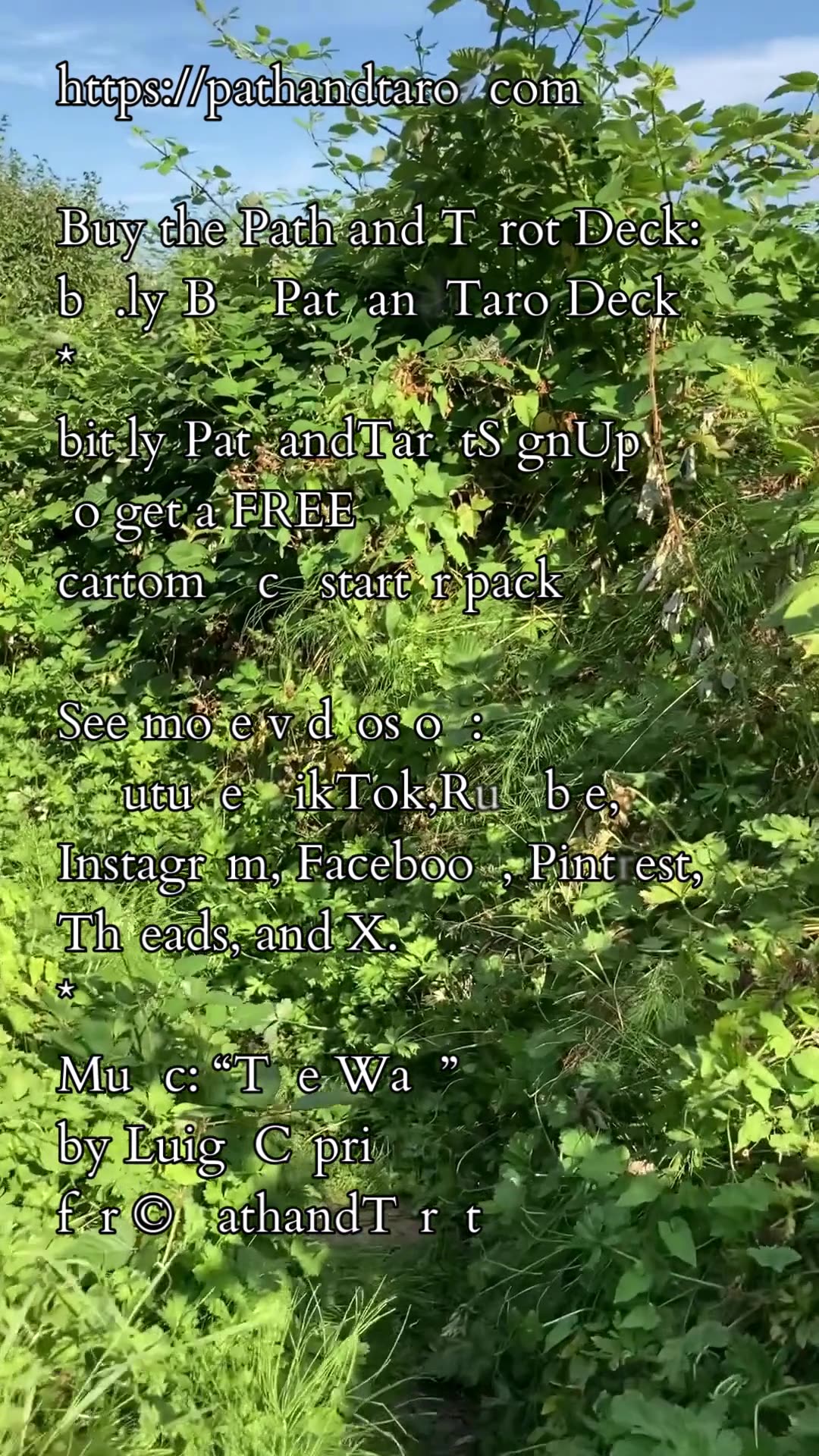 Carry A Vision | Path and Tarot Reading