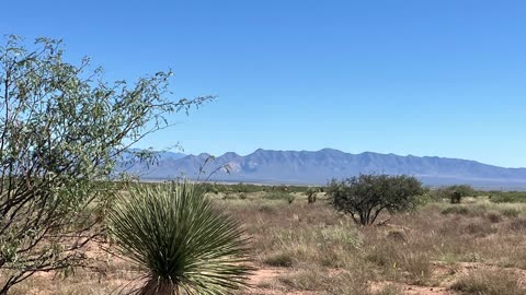Off grid desert homestead with Artettina