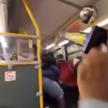 Diversity destroys high trust society