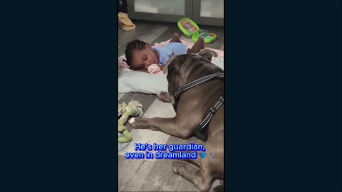 Blue plus family