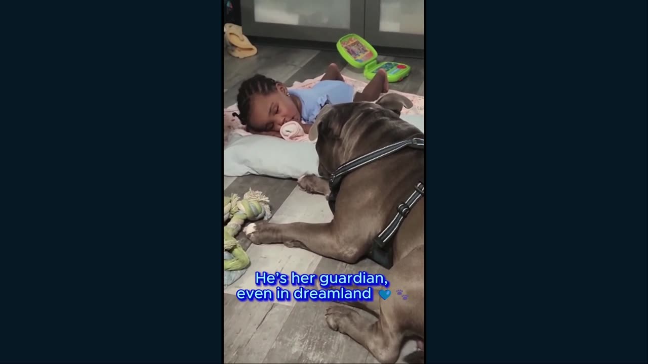 Blue plus family