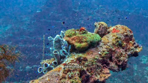 Exploring the Eerie Ghost Fleet of Chuuk Lagoon #travel #explore #history