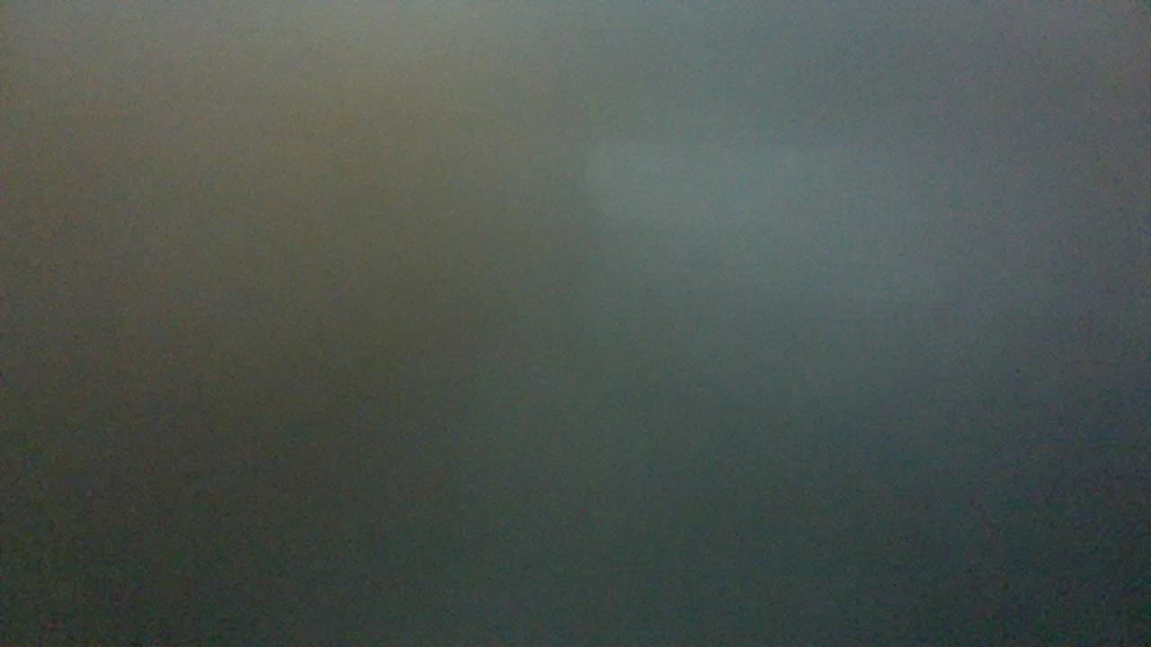 Daily Bible Study 6.30.25. Hosea 1-5