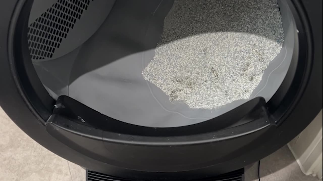 My Cats Have a Robot Butler..I Still Clean My Own Dishes