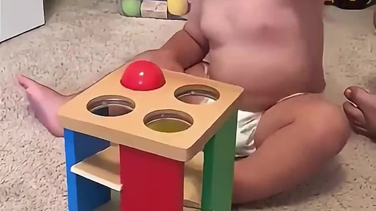 Funny videos