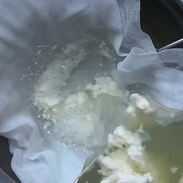 Making fresh mozzarella with only three ingredients