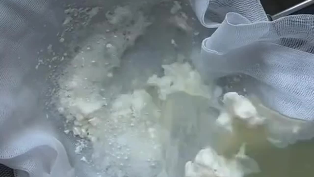 Making fresh mozzarella with only three ingredients