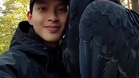 Woe Day 84. I am in the ark. Waiting for GOD to open the Door for a spring/summer Pentecost rapture