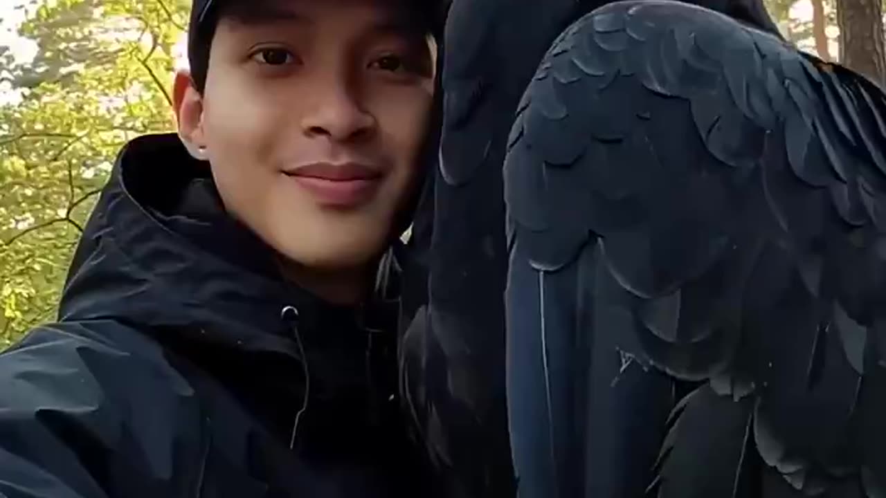 Woe Day 84. I am in the ark. Waiting for GOD to open the Door for a spring/summer Pentecost rapture