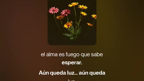 Aun Queda Luz-Sunydowey