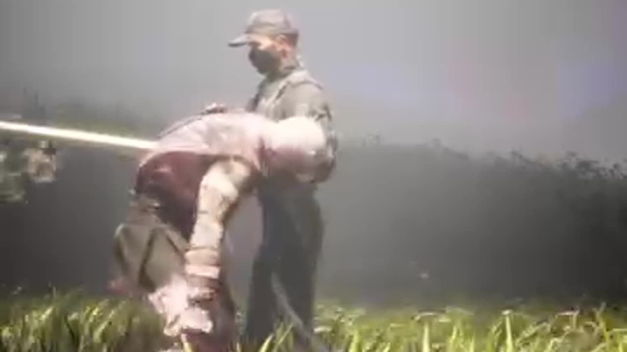 Mortal Kombat