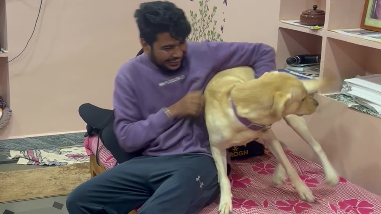 Dog Is Overjoyed His Owner Is Home After a Month Away
