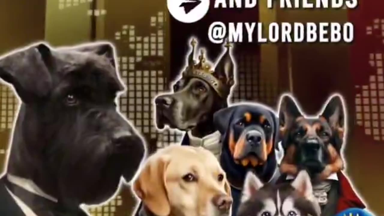 Germany lets get things together