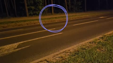 Jeż przechodzi przez ulicę [Rolka]