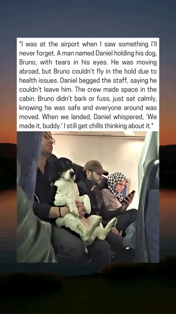 Airline Breaks Rules to Keep Man and His Dog Together