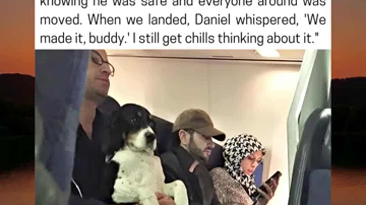 Airline Breaks Rules to Keep Man and His Dog Together