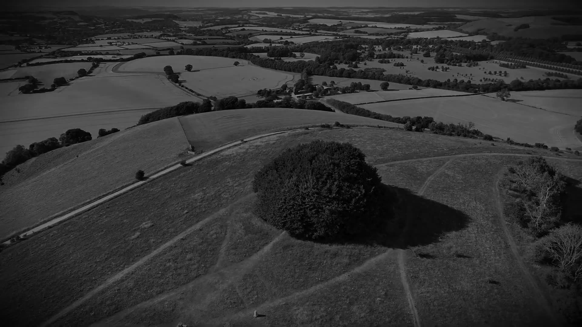 Crop Circle | 12 July 2025 | Ludwell, Wiltshire | Crop Circles From The air