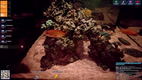 24/7 Real Live Reef Stream