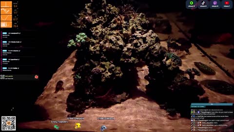 24/7 Real Live Reef Stream