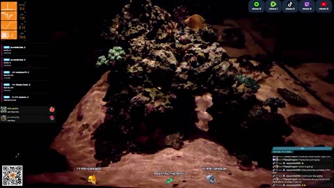 24/7 Real Live Reef Stream