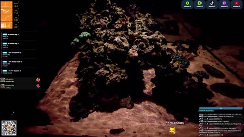 24/7 Real Live Reef Stream