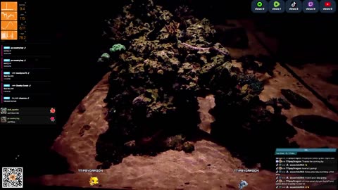 24/7 Real Live Reef Stream
