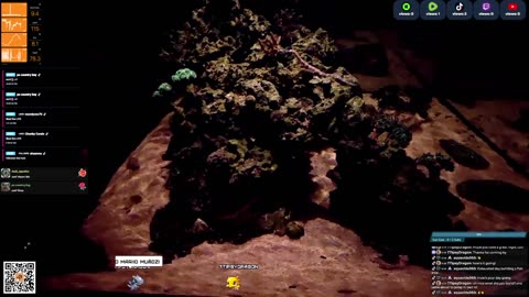 24/7 Real Live Reef Stream