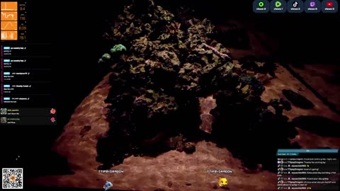 24/7 Real Live Reef Stream