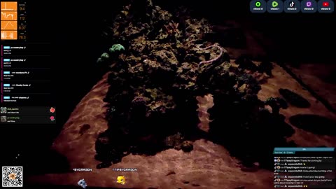 24/7 Real Live Reef Stream