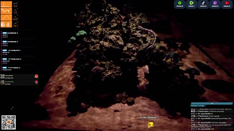 24/7 Real Live Reef Stream