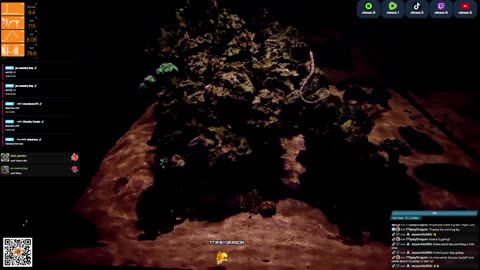 24/7 Real Live Reef Stream