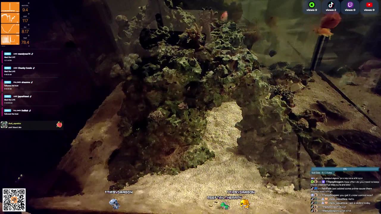 24/7 Real Live Reef Stream