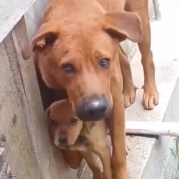 “I’ll protect you”.. 😊